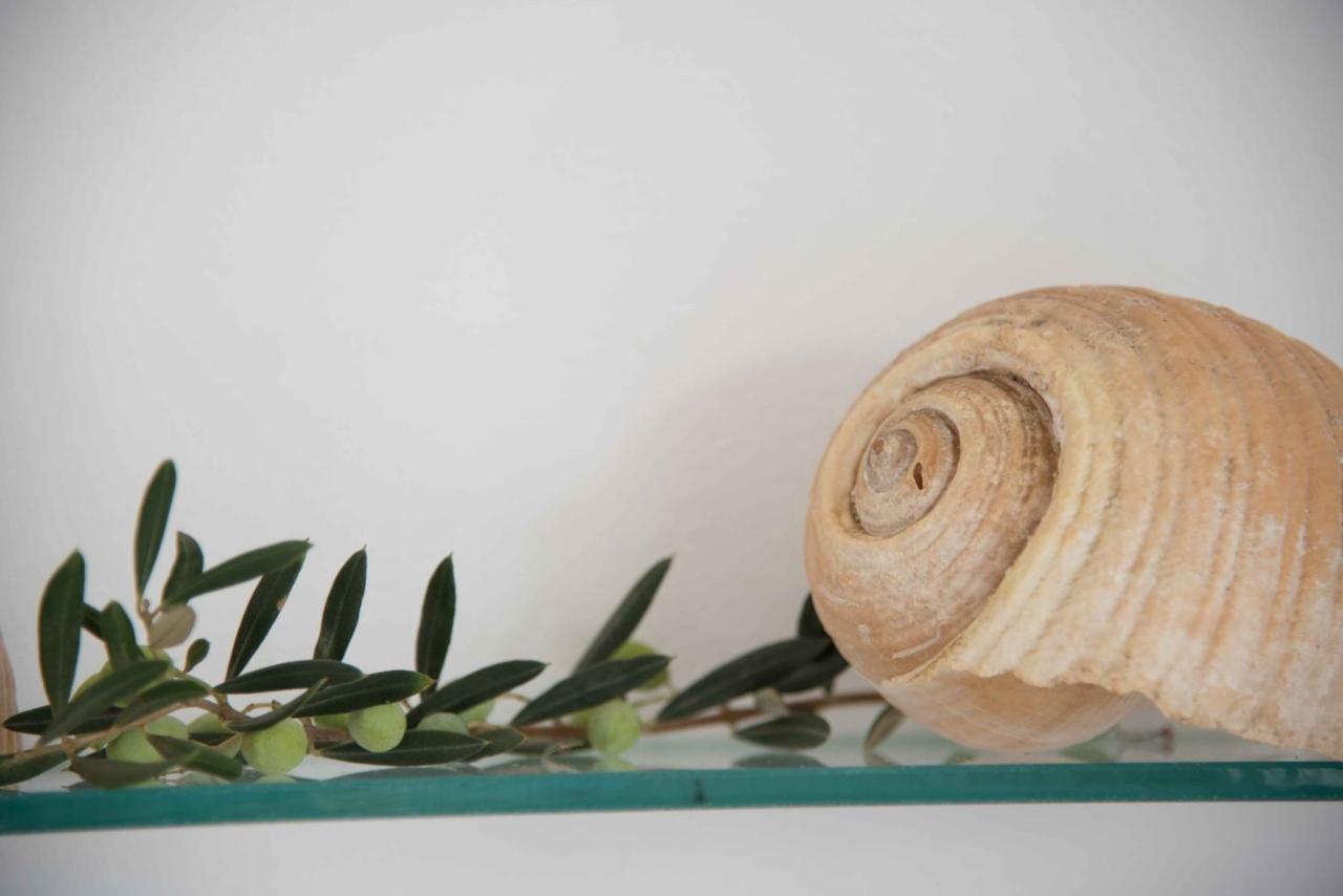 חריסי אקטי Flora & Agelos Studios מראה חיצוני תמונה